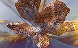 Mark Huelsman Gallery