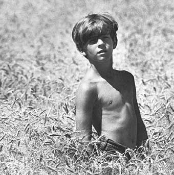 Boy in the Wheat