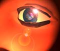Toy's Eye