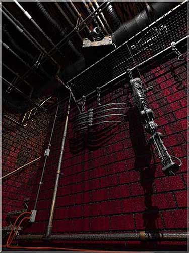 Rat in Doc's Basement