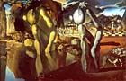 Narcissus