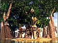 Treehouse
