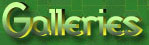 The Art Galleries