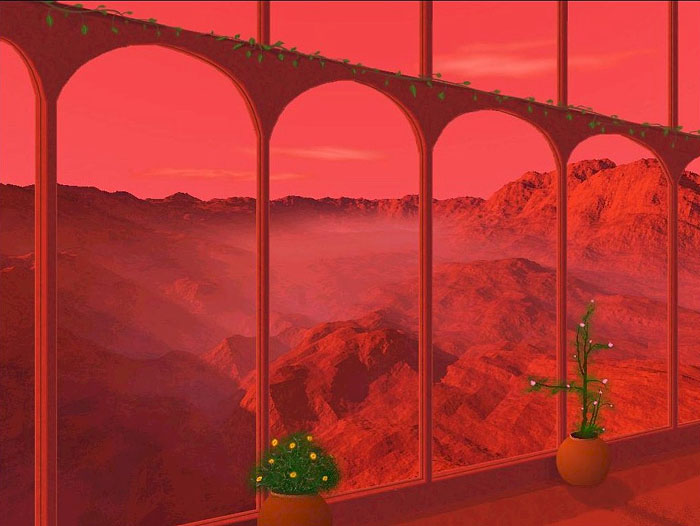Martian Backyard